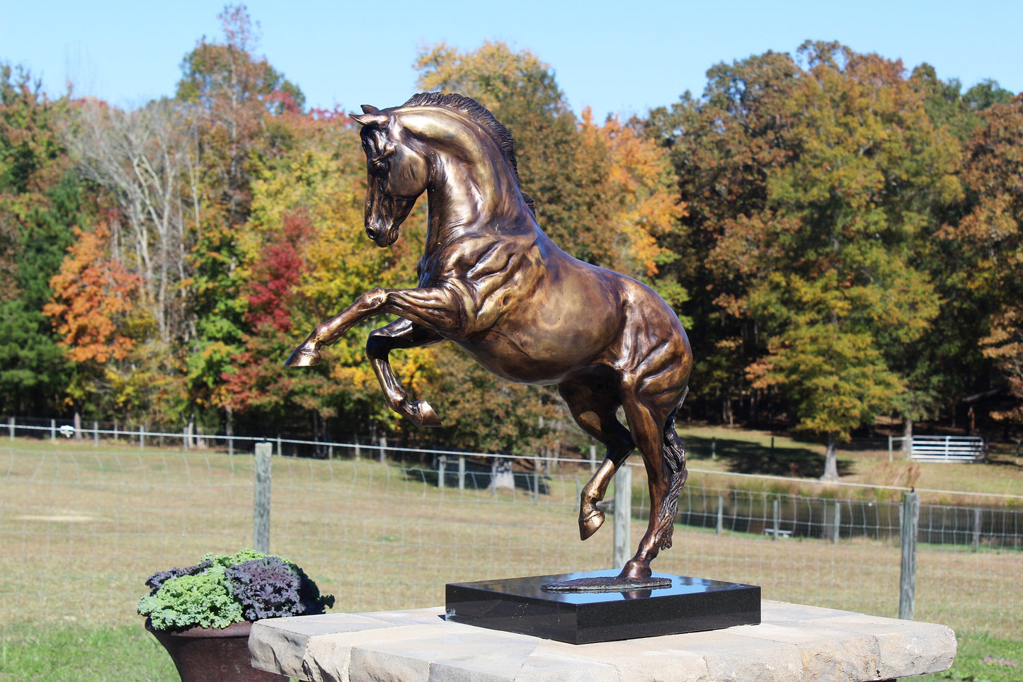 Bronze Horse Sculpture ORDER.  Sculpture editions, and commissioned pieces.  From Tabletop to Life Size.   Zimmer Forge Hill Sculpture