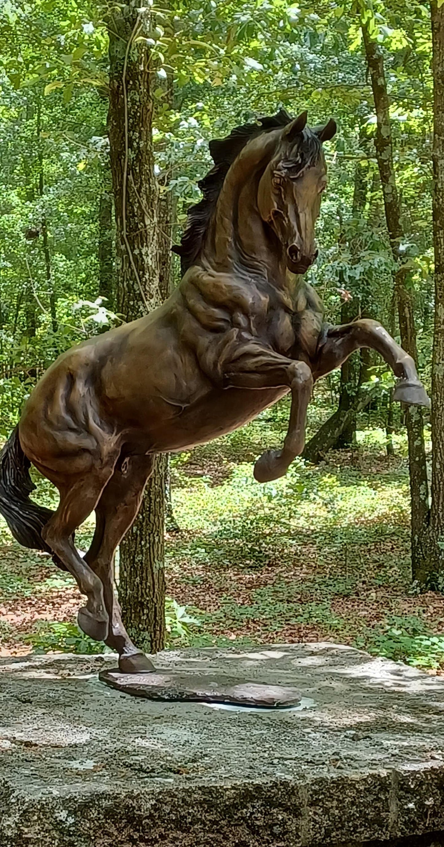 Bronze Horse Sculpture ORDER.  Sculpture edition, final casting 5/5 of "Let's Dance". 31" tall. Beverly Zimmer Forge Hill Sculpture