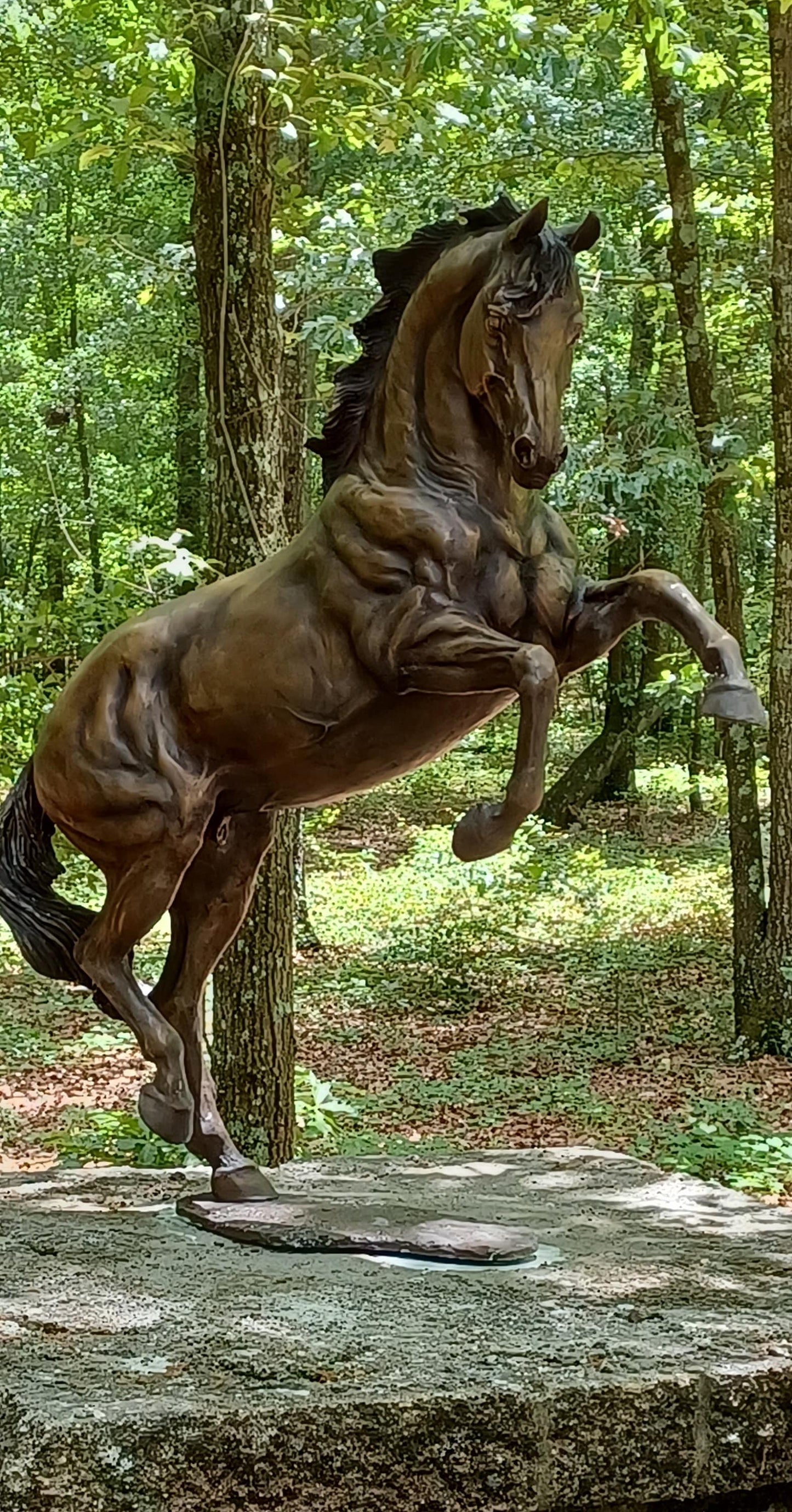Bronze Horse Sculpture ORDER. Sculpture editions, and commissioned pieces. From Tabletop to Life Size. Zimmer Forge Hill Sculpture