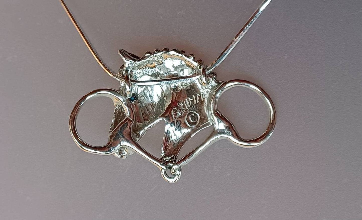 Dressage horse and snaffle  pendant STONE set eye, sterling silver and chain equestrian  jewelry Zimmer